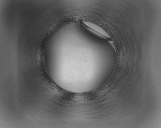 X0000074930608200609221641