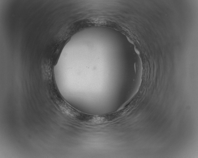 X0000074930609200609221641