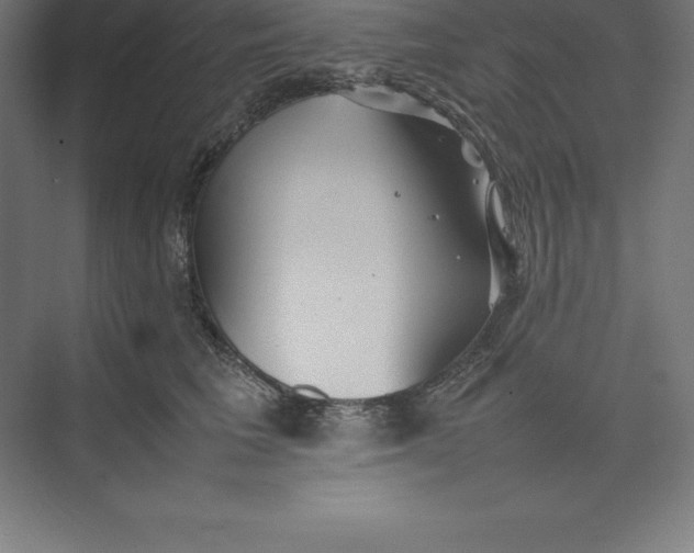 X0000074930613200609221641