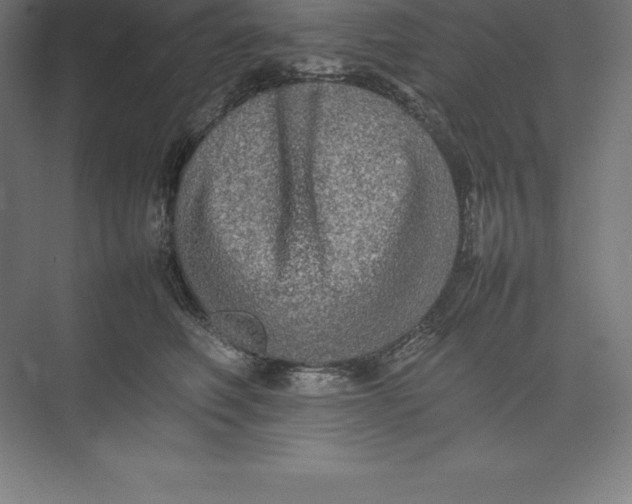 X0000074930614200609221641