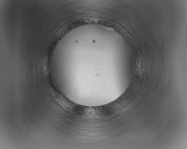 X0000074930616200609221641