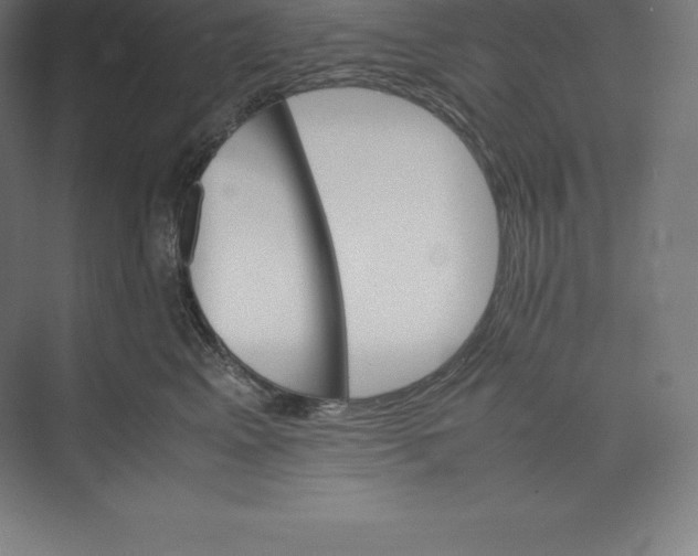 X0000074930617200609221641