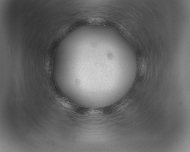 X0000074930619200609221640