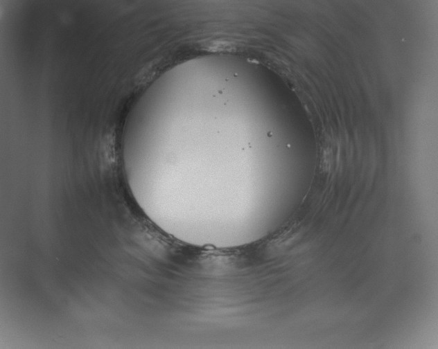 X0000074930620200609221640