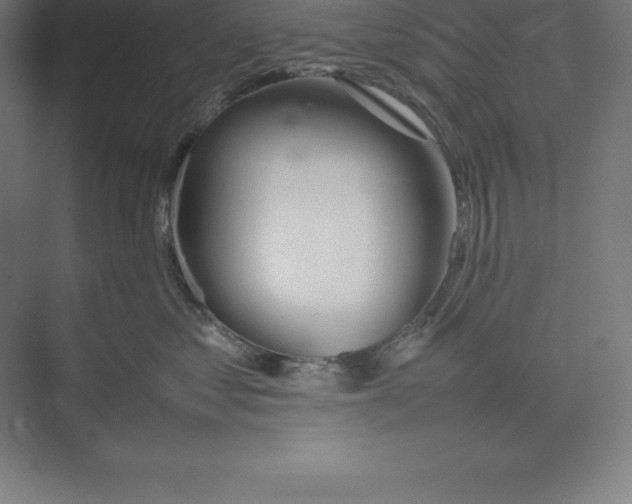 X0000074930621200609221640