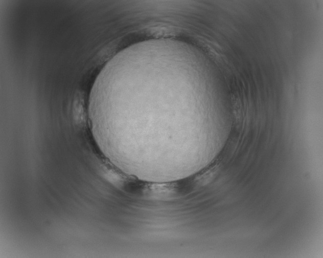 X0000074930622200609221640