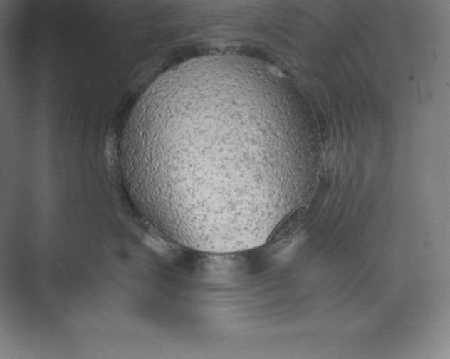 X0000074930623200609221640