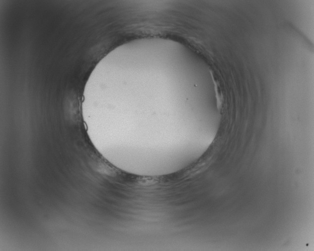 X0000074930624200609221640