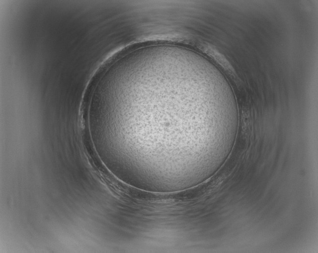 X0000074930628200609221640