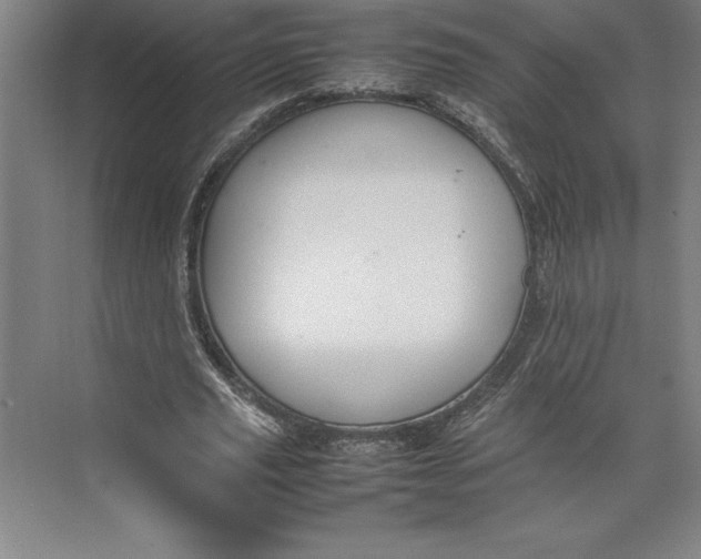 X0000074930629200609221640