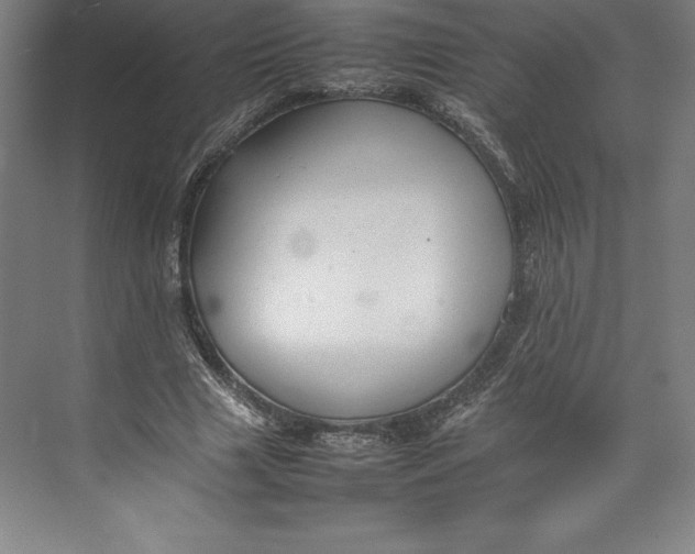 X0000074930633200609221640