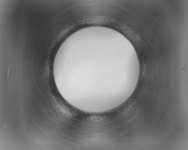 X0000074930636200609221640