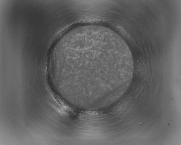 X0000074930640200609221640