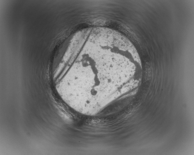 X0000074930641200609221640