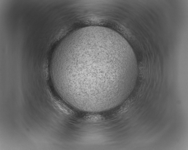 X0000074930642200609221640