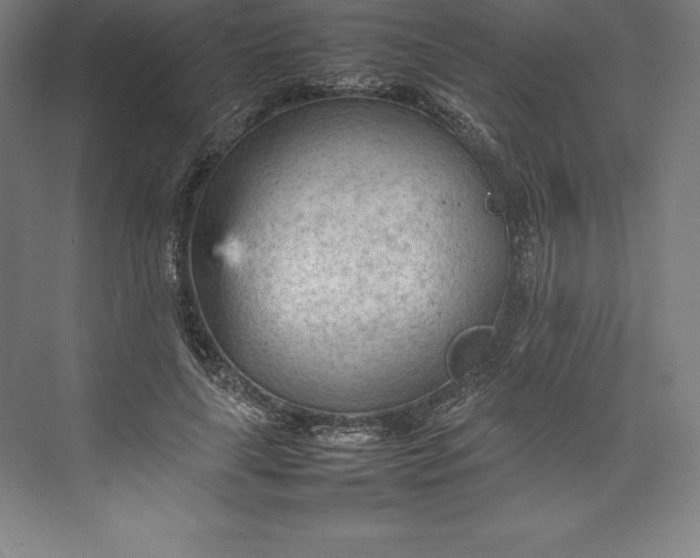 X0000074930643200609221640