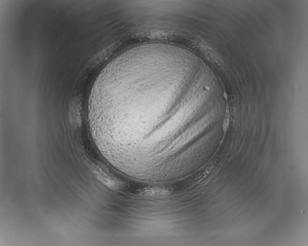 X0000074930644200609221640