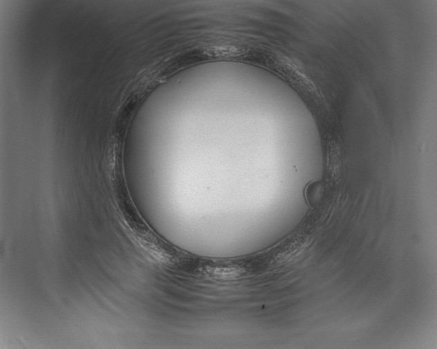 X0000074930645200609221640