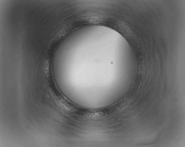 X0000074930646200609221640