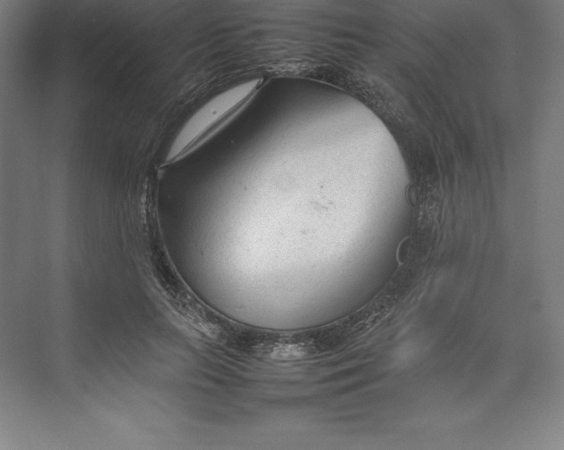 X0000074930647200609221640