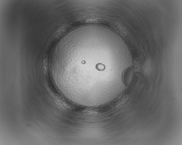 X0000074930648200609221640