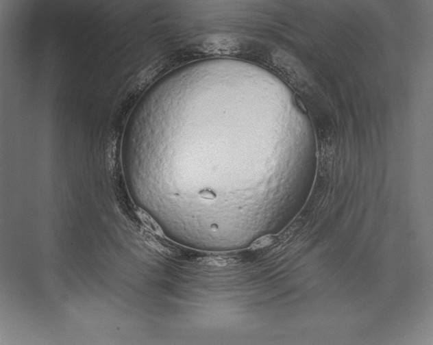 X0000074930652200609221640