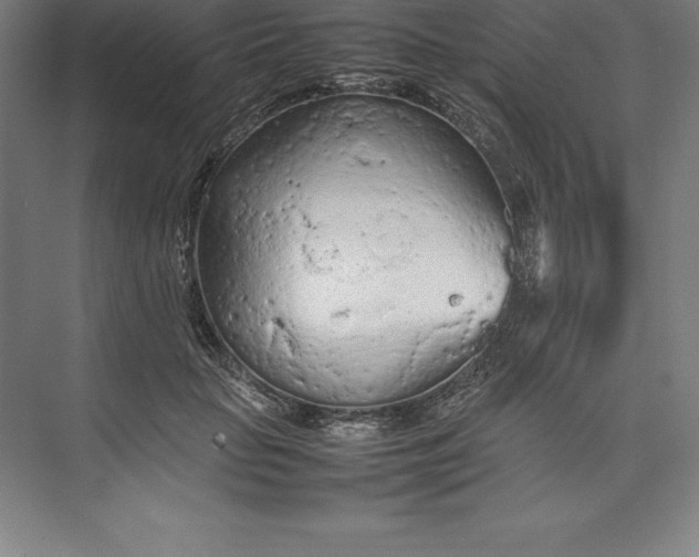 X0000074930653200609221640