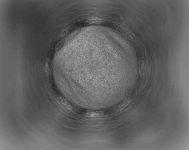 X0000074930655200609221640