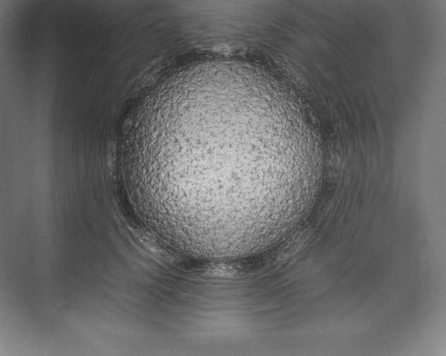 X0000074930656200609221640