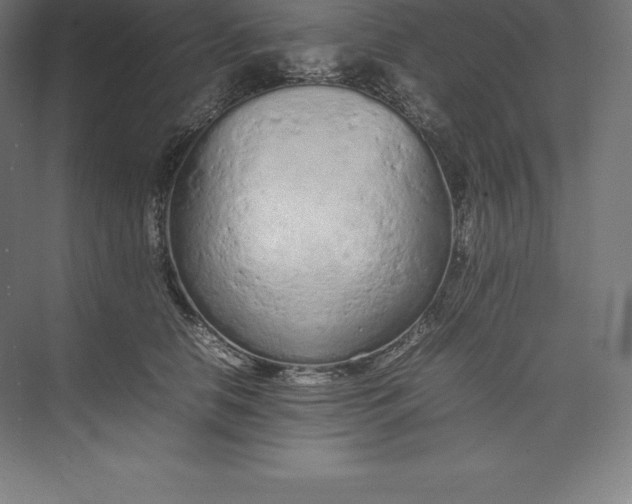 X0000074930658200609221640