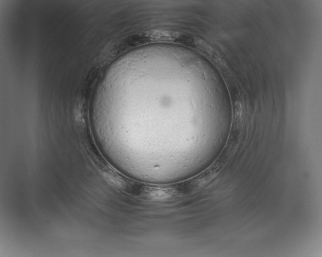 X0000074930663200609221640