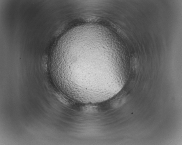 X0000074930664200609221640