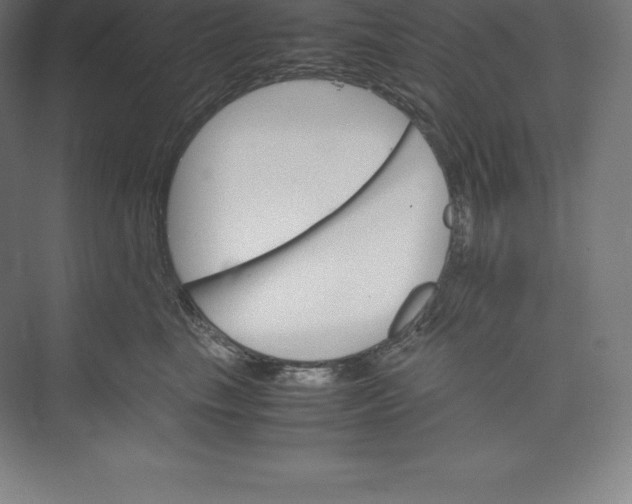 X0000074930665200609221640