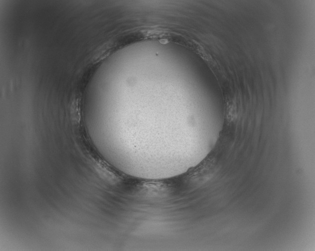 X0000074930666200609221640