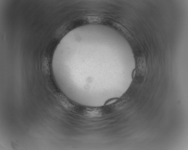 X0000074930667200609221640