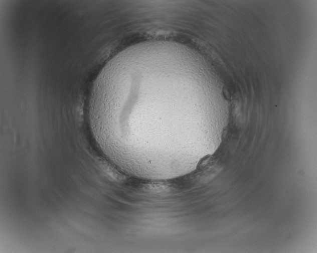 X0000074930668200609221640