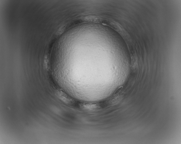 X0000074930669200609221640