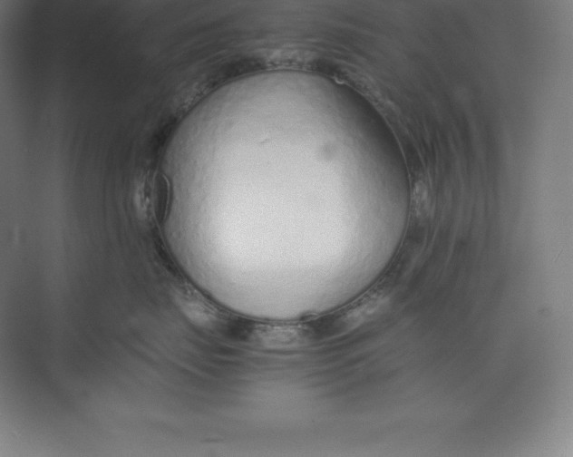 X0000074930671200609221640