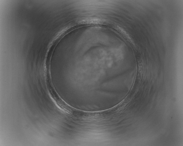 X0000074930674200609221640