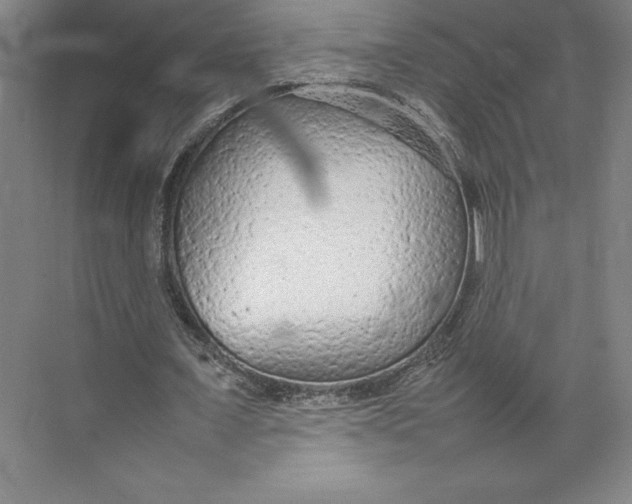 X0000074930675200609221640