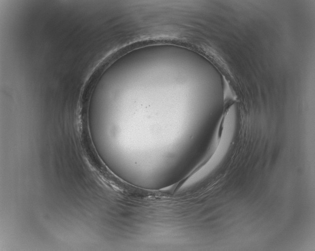 X0000074930676200609221640