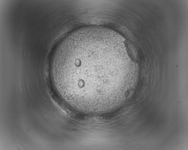 X0000074930683200609221639