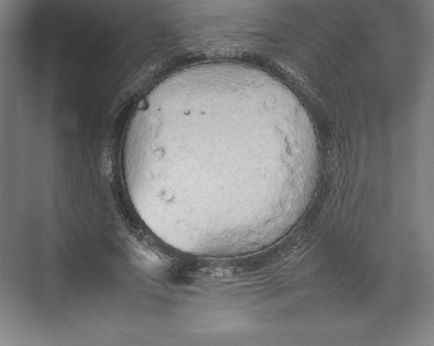 X0000074930687200609221639