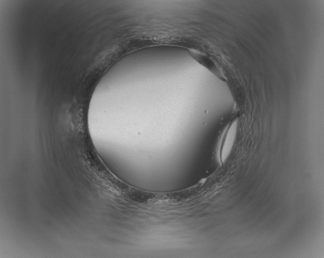 X0000074930689200609221639