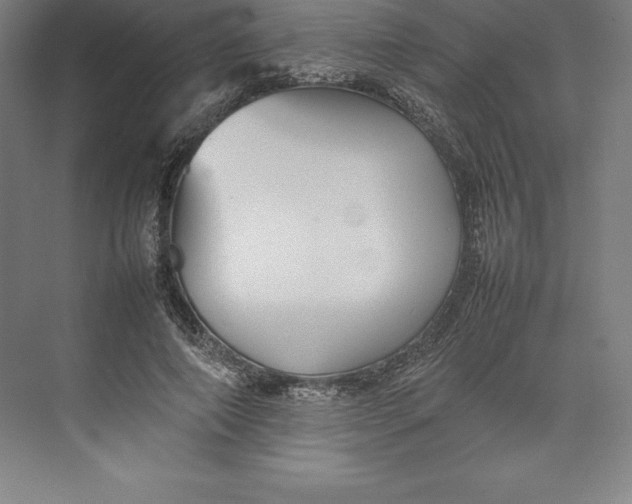 X0000074930690200609221639