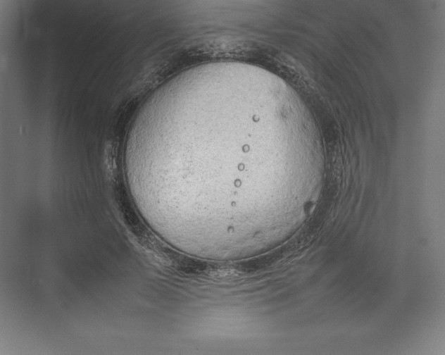 X0000074930695200609221639