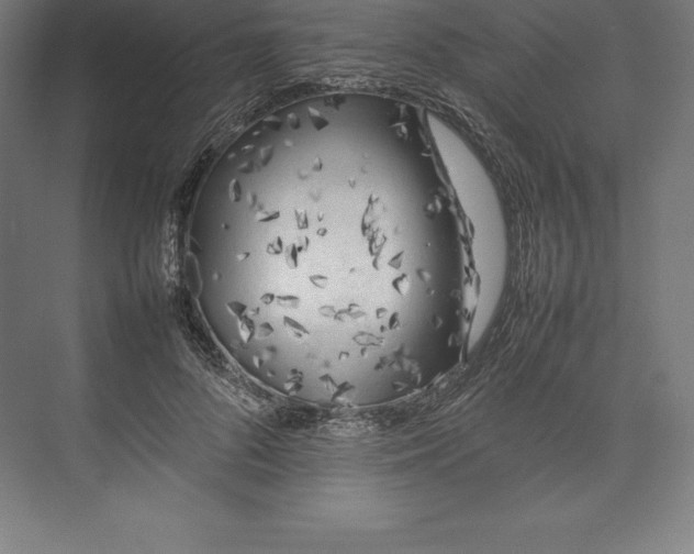 X0000074930696200609221639