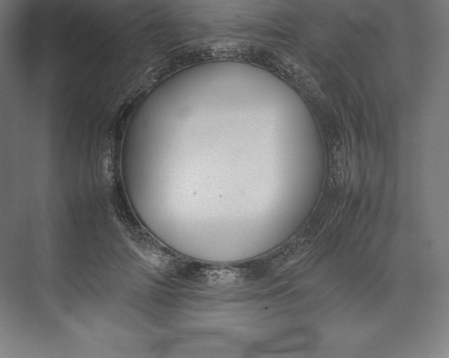 X0000074930698200609221639