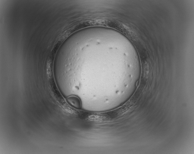 X0000074930699200609221639