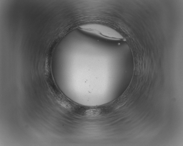 X0000074930700200609221639